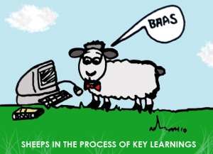 Sheeps in the process of Key Learnings. N.Hayter 2010.
