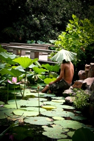 Shanghai Peoples Park Man in Lily Pond. N.Hayter 2010.